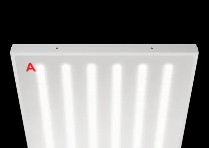 Потолочный светильник WOLTA Pro ДВО03-54-055-5К