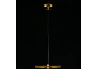 Подвесной светильник Aployt Penelopa APL.643.06.01