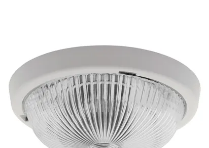 Настенный потолочный светильник Kanlux SANGA DL-100 8050