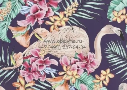 Обои Osborne & Little Cubana Wallpapers W6800-06