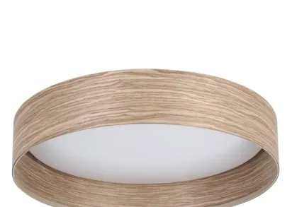 Потолочный светодиодный светильник Eglo Luppineria 900463