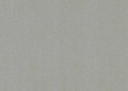 Обои Rasch Freundin Home Collection 3 441611