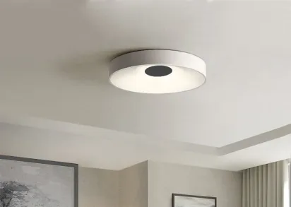 Потолочный светодиодный светильник Imperium Loft Ecla 101547-26