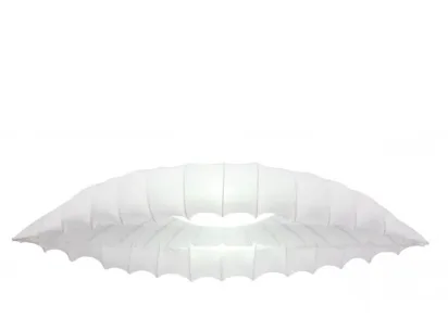 Потолочный светильник Arte Lamp Botticelli A2188PL-2CC