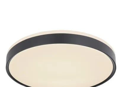 Потолочный светодиодный светильник Globo Sonny 41587-24