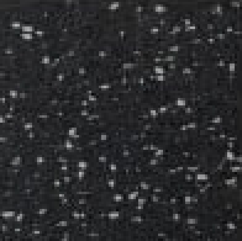 EcoStep Fitness 15% Серый 15