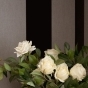 https://ufa.don-oboi.ru/cache/goods_photos/88x88x1x7dtfamxao7.jpg
