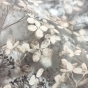 https://ufa.don-oboi.ru/cache/goods_photos/88x88x1xdoycynm4b5.jpg