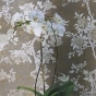 https://ufa.don-oboi.ru/cache/goods_photos/88x88x1xonund3lny8.jpg